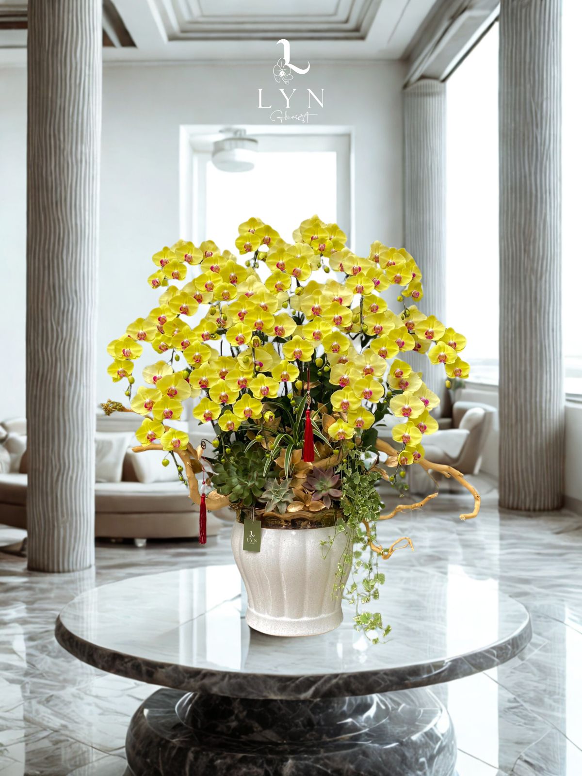 Chậu Hoa Lan Vàng